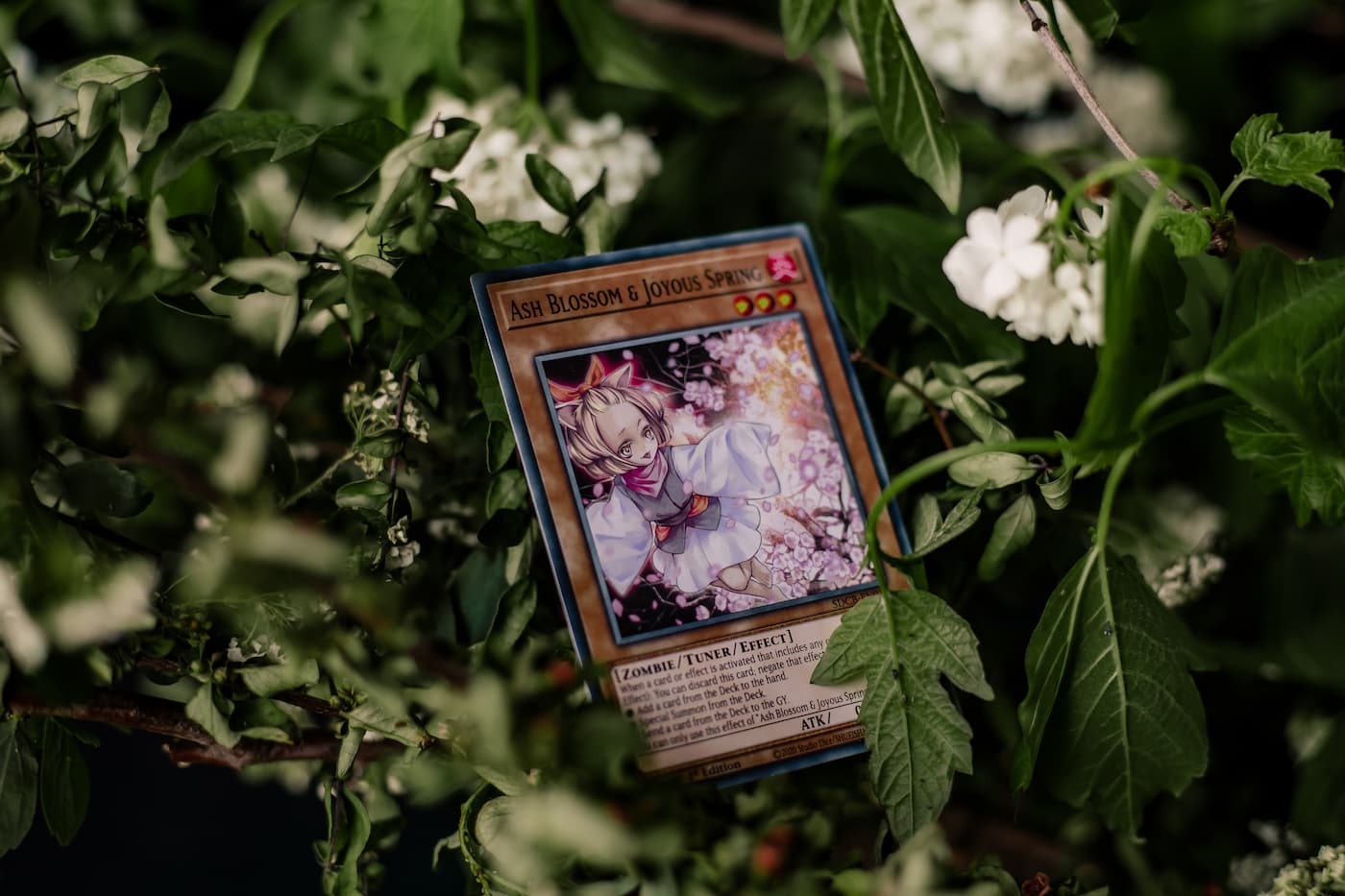 Ash Blossom & Joyous Spring Yu-Gi-Oh! Card